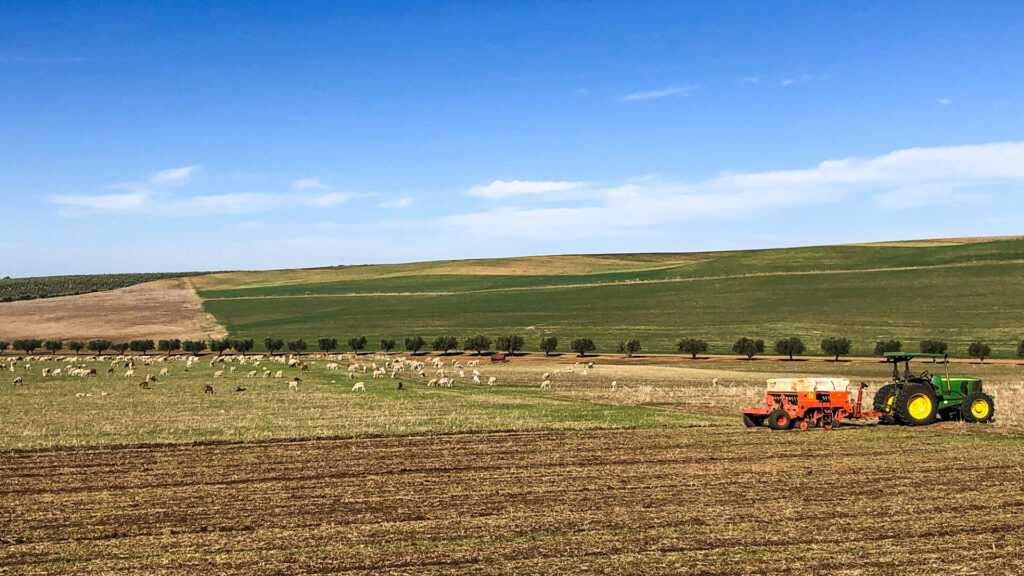 Tractor in a field