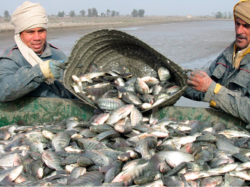 Fishermans