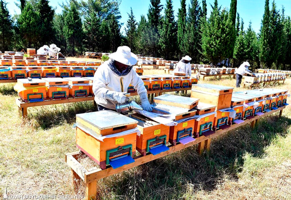 Beekeepers