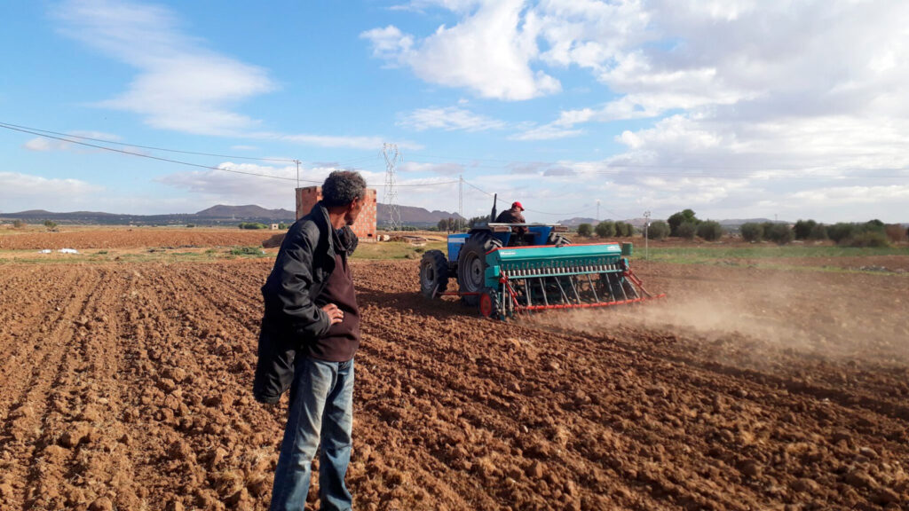 Tractor in a field