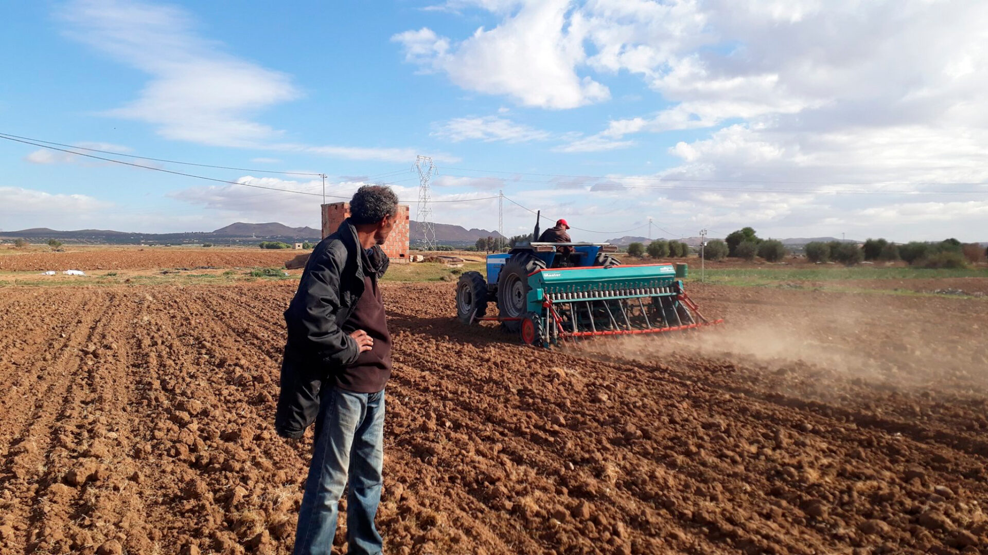 Tractor in a field